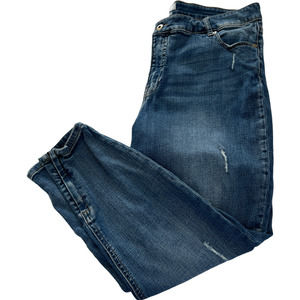 Pistola Skinny Jeans Distressed High Waisted Plus Size 16W
